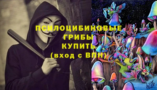 кристаллы Гусь-Хрустальный