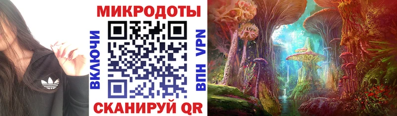 Галлюциногенные грибы Psilocybine cubensis  hydra онион  Котлас 