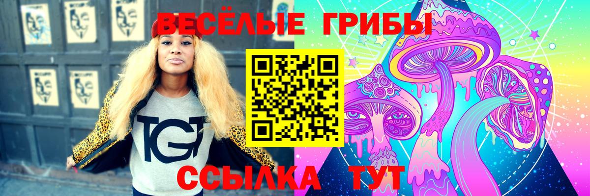 Псилоцибиновые грибы прущие грибы Котлас