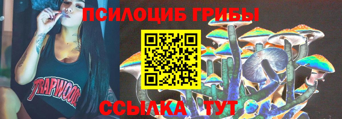 Котлас  где можно купить наркотик  Вход с VPN  Псилоцибиновые грибы Psilocybe 